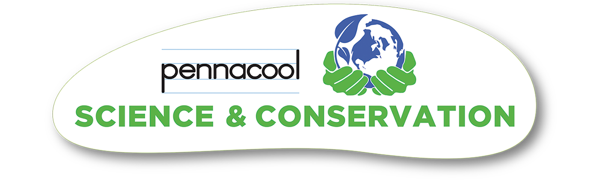 pennacool Conservation Challenge